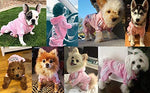 Roll over image to zoom in        VIDEO Scheppend Original Adidog Pet Clothes for Dog Cat Puppy Hoodies Coat Winter Sweatshirt Warm Sweater Dog Outfits