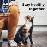 Iams Proactive Health Adult Dry Cat Food