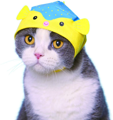 Kitan Club Cat Cap - Pet Hat Blind Box Includes 1 of 5 or 6 Cute Styles - Soft, Comfortable - Authentic Japanese Kawaii Design - Animal-Safe Materials, Premium Quality (Aquarium)