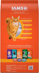 Iams Proactive Health Adult Dry Cat Food