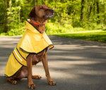 Fashion Pet Dog Raincoat For Small Dogs | Dog Rain Jacket With Hood | Dog Rain Poncho | 100% Polyester | Water Proof | Yellow w/ Grey Reflective Stripe | Perfect Rain Gear For Your Pet! by Ethical Pet