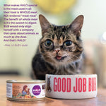 Halo Natural Dry Cat Food, Sensitive Stomach Seafood Medley