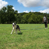 Hi Kiss Dog/Puppy Obedience Recall Training Agility Lead - 15ft 20ft 30ft 50ft 100ft Training Leash - Great for Training, Play, Camping, or Backyard