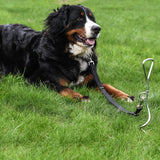 Katzco Chrome Dog Stake - 8MM x 16 Inch - Supports Heavy-Duty Tie-Out Lead Chain Cable - for Dogs